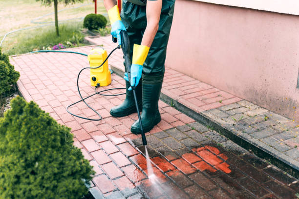 Best Sidewalk and Walkway Cleaning  in Jellico, TN